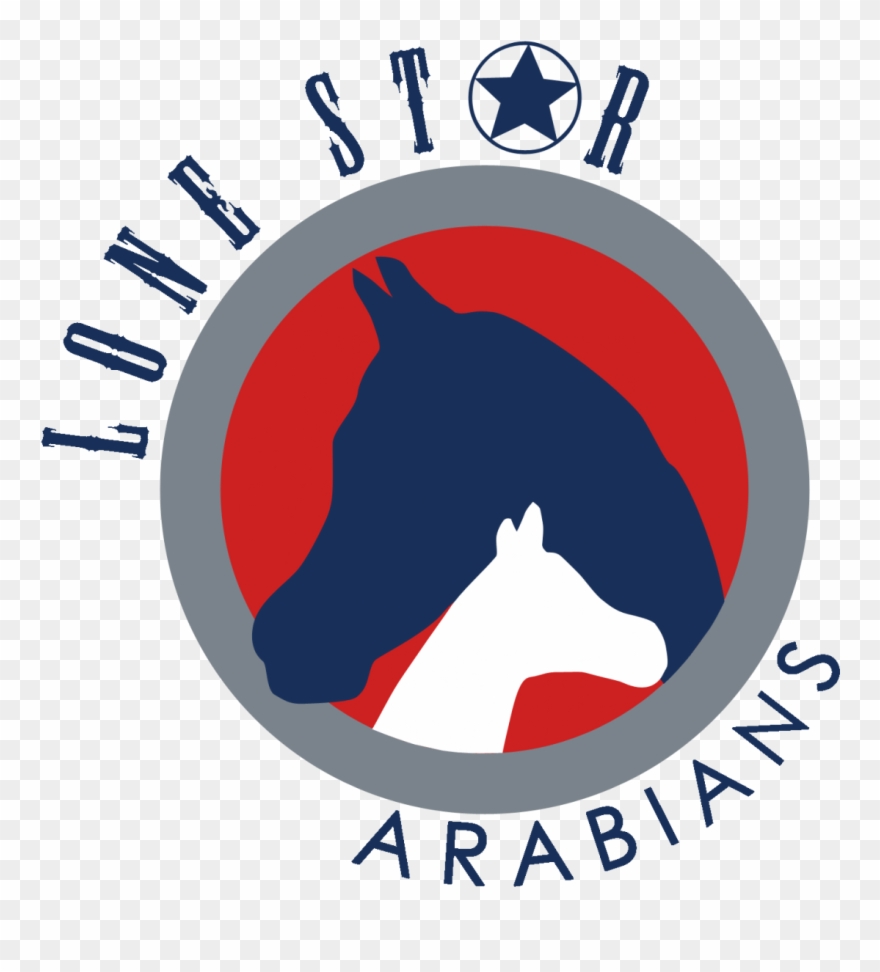 Lone Star Arabians, Llc - Matic Vesel Clipart