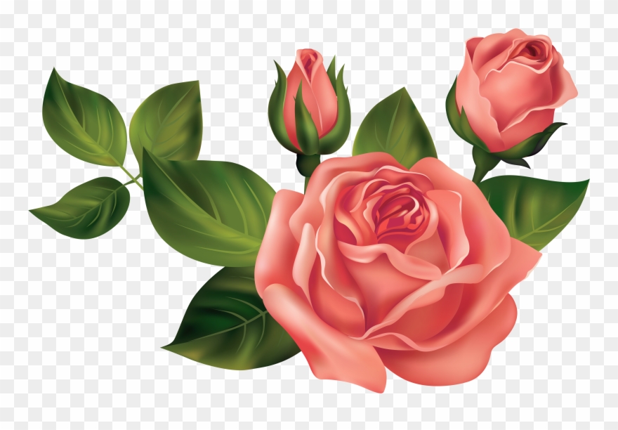 Vintage Diy, Birthday Wishes, Birthday Cards, Happy - Roses Transparent Clipart