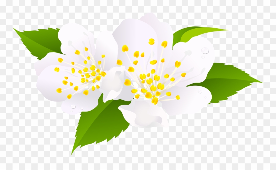 Portable Network Graphics Clipart