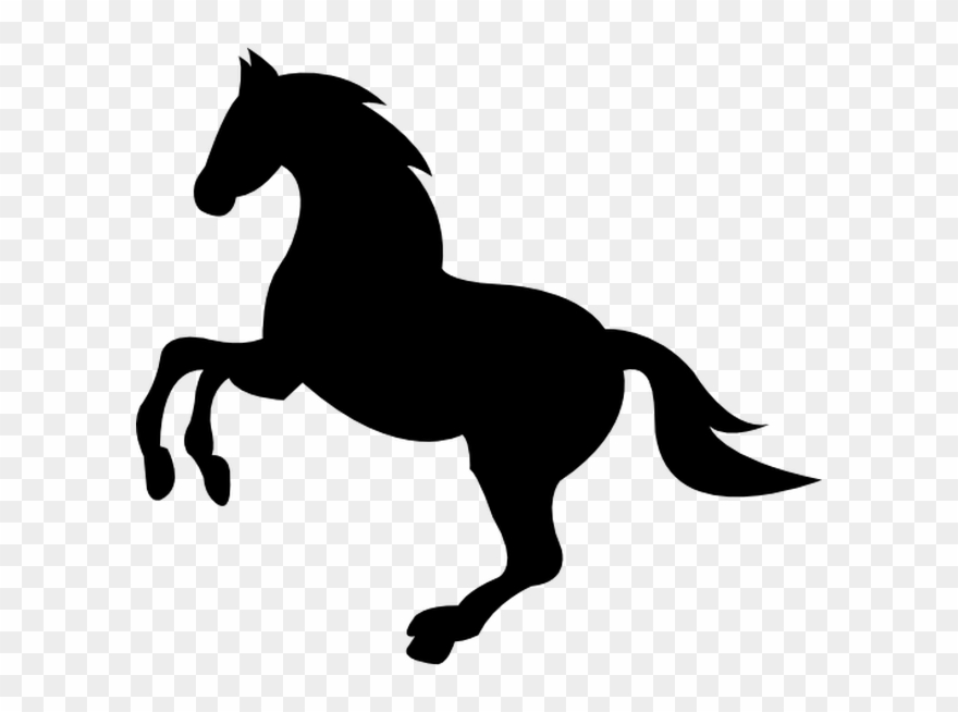 Wild Black Horse Lifting Front Foot Free Vector Icon - Horse Icon Png Clipart