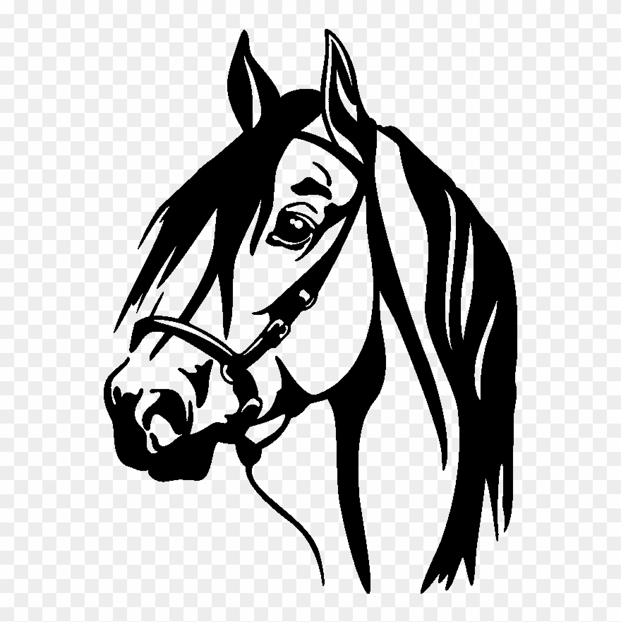 Horse Head Silhouette Png For Kids Horse Decal Clipart 1349157 Horse Head Silhouette Png For Kids Horse Decal Clipart 1349157