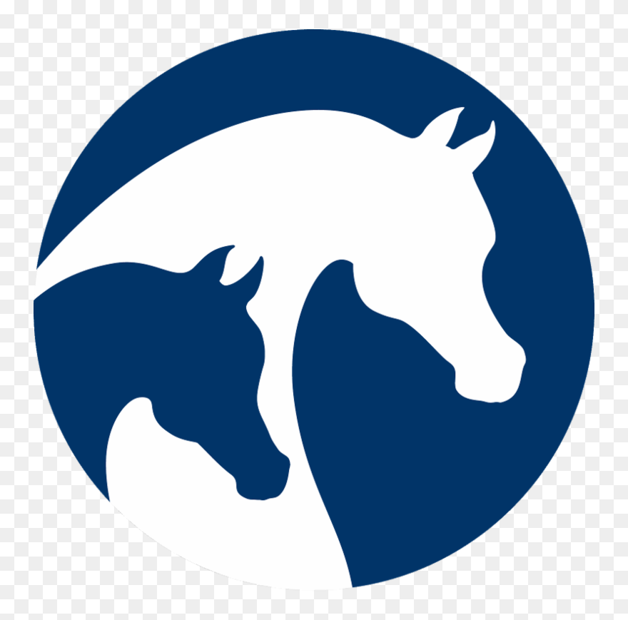 Arabian Horse Association Clipart