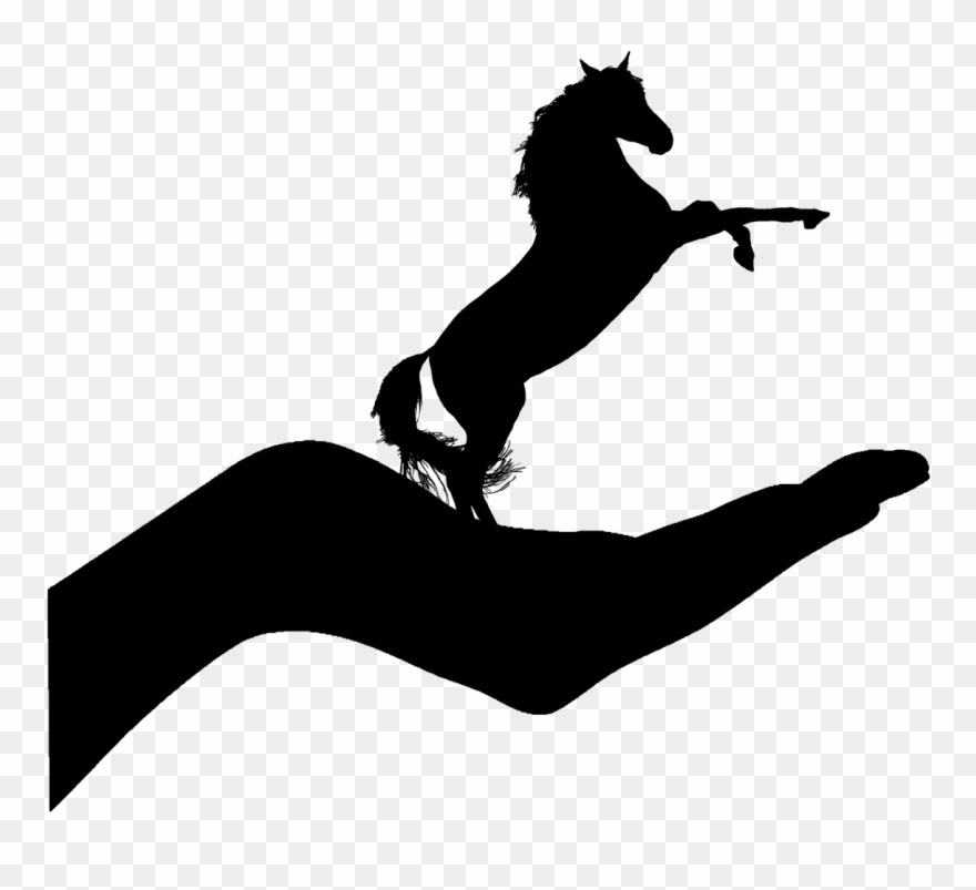 Pictures - Clip Art - Png Download