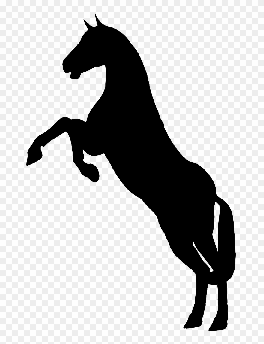 Silhouette Animal Horse - Clip Art Horse Silhouette - Png Download