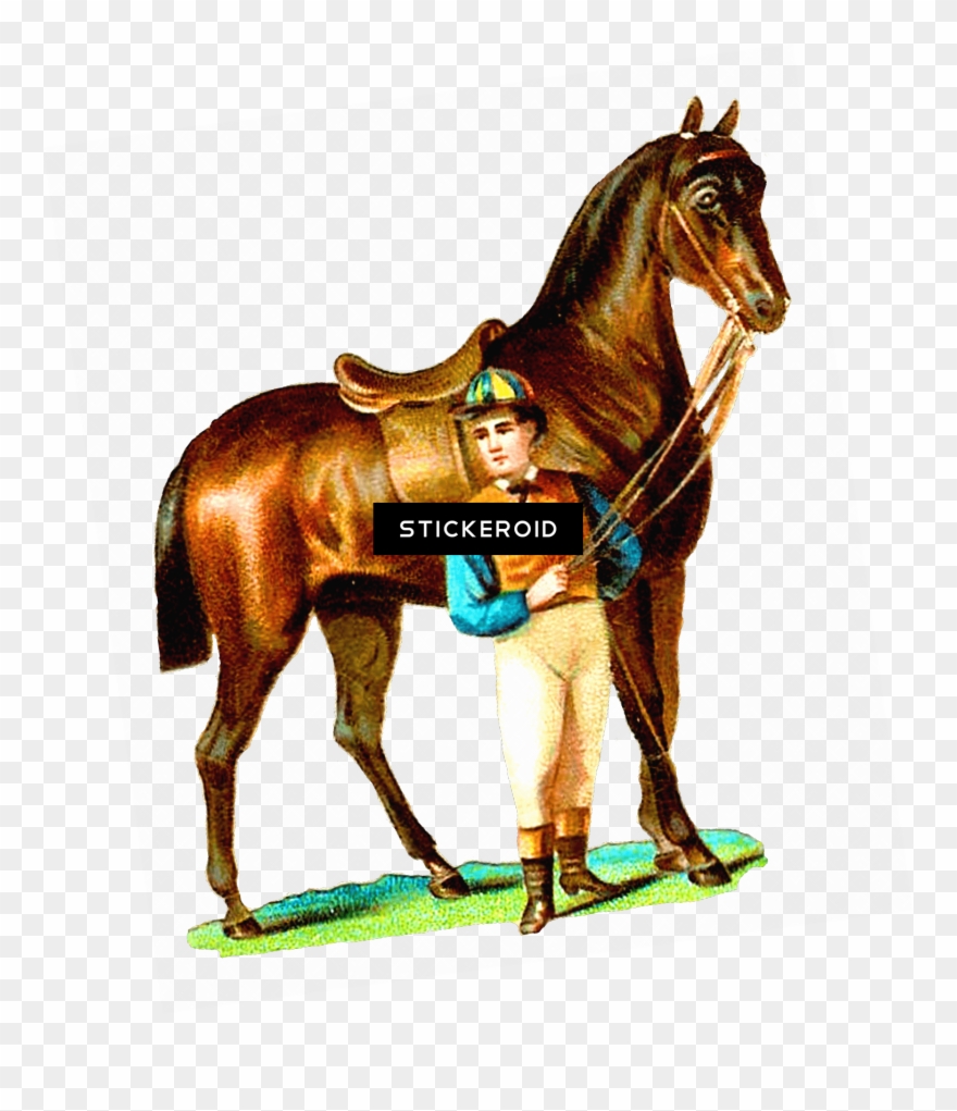 Horse - Sorrel Clipart