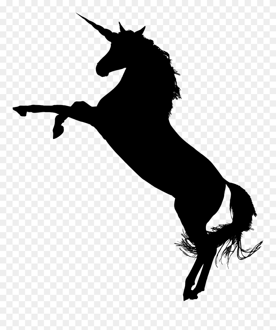 Arabian Horse American Quarter Horse Rearing Mare Colt - Unicorn Silhouette Png Clipart