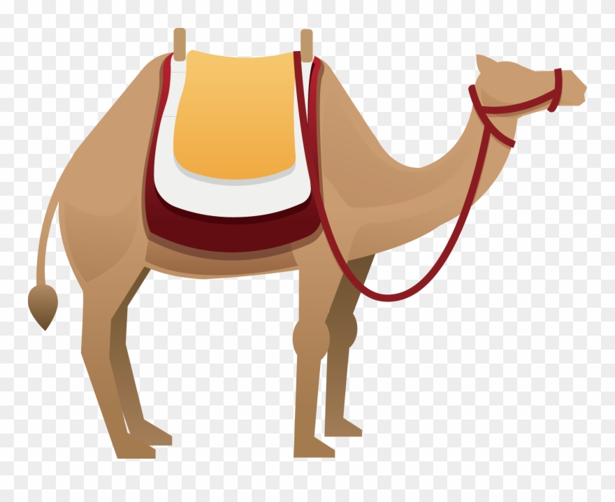 Camels Clipart Horse - アラブ 首長 国 連邦 服装 イラスト - Png Download