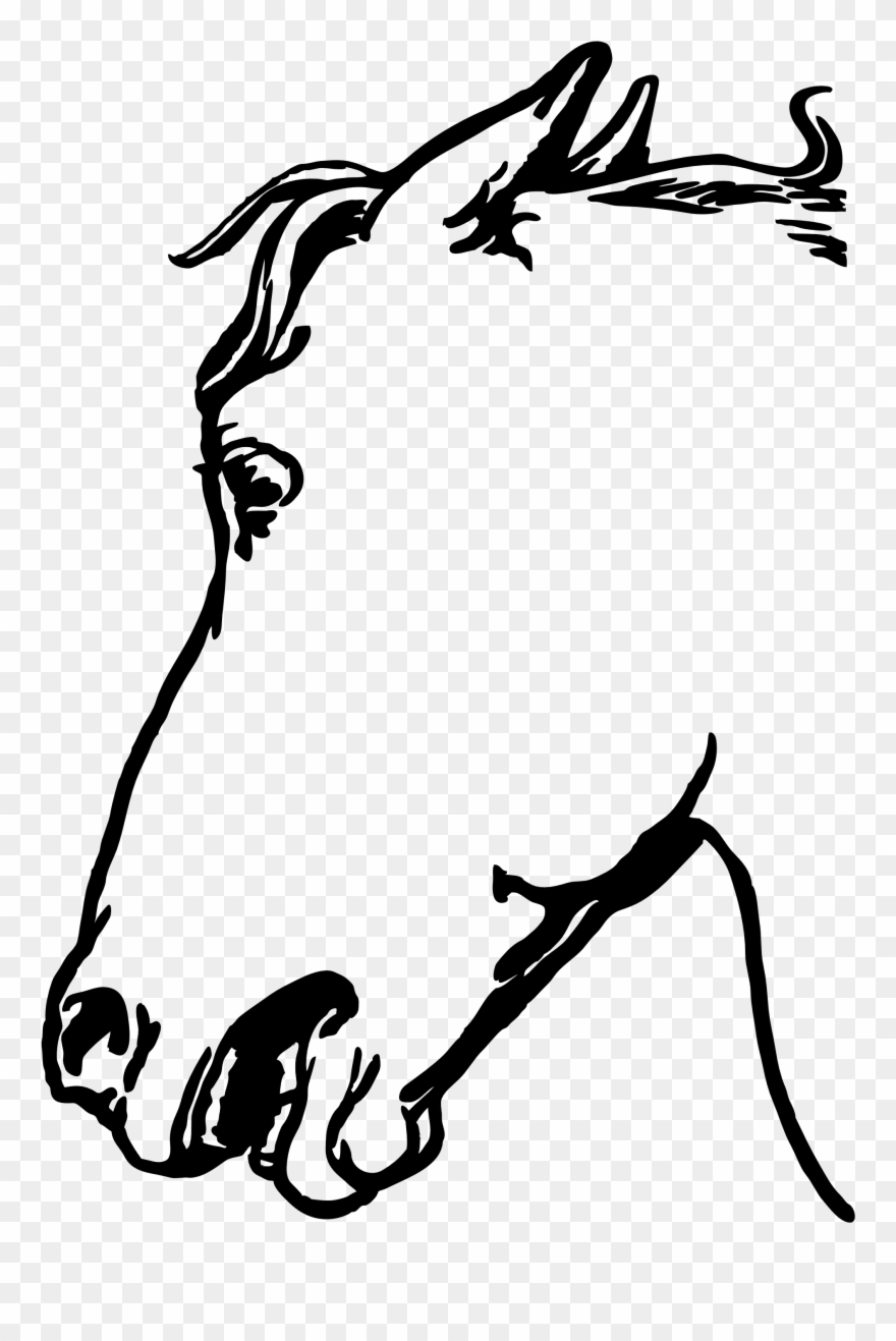 Big Image - Custom Horse Head Sketch Mugs Clipart