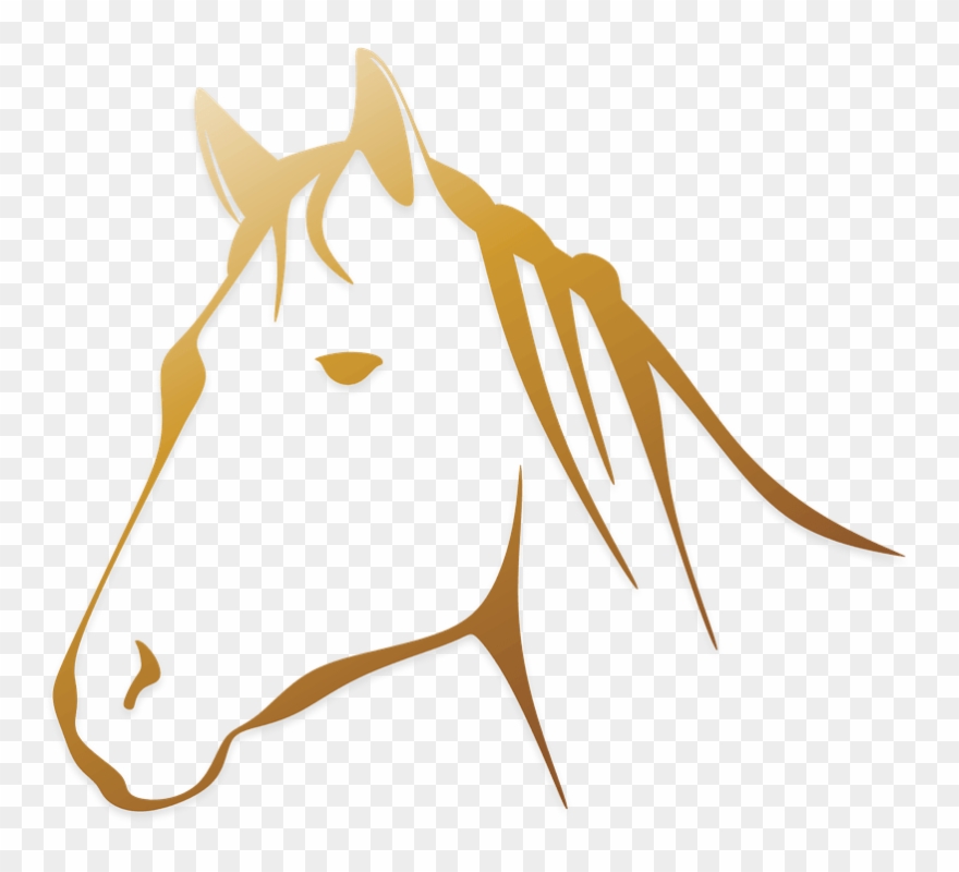 Horse Head Line Drawing Clipart