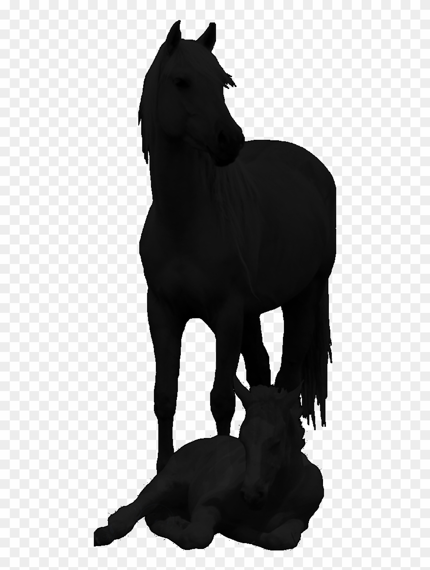 Click On Any Photo For Larger Picture/slideshow To - Horse Clipart