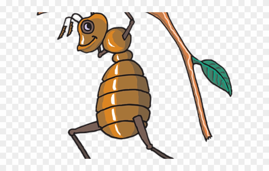 Baby Clipart Ant - Free Vector Bee - Png Download