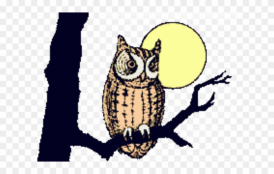 Animated Clipart Owl - Wise Old Owl Gif - Png Download