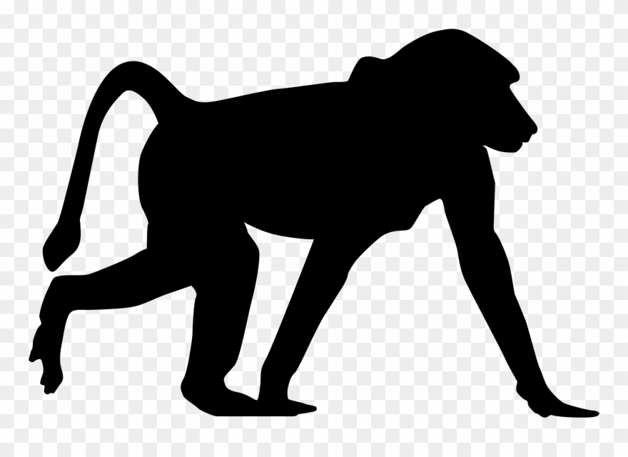 Monkey Silhouette 13, Buy Clip Art - Babouin Silhouette - Png Download