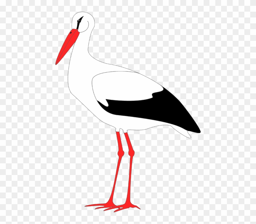 Der Wirklich Imposant Aussehende Storch Lässt Sich - Storch Vorlage Zum Ausdrucken Holz Clipart