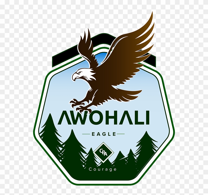 Image - Hawk Clipart