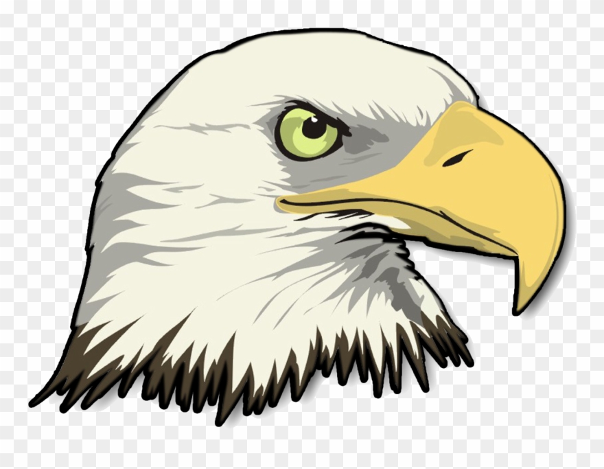 Eagle Cartoon Png Clip Art Library Download - Cartoon Bald Eagle Head Transparent Png