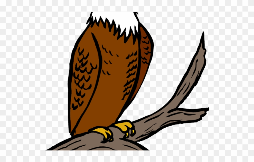 Bald Eagle Clipart Carnivore - Eagle On Tree Clipart Png Transparent Png