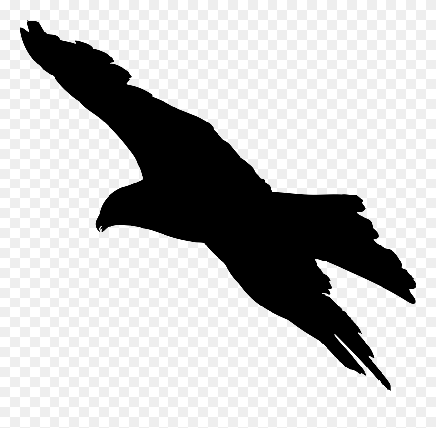 Eagle 7 Silhouette - Silhouette Of A Bird Flying Clipart