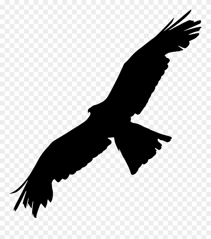 Bald Eagle Bird Of Prey Silhouette - Eagle Clipart - Png Download