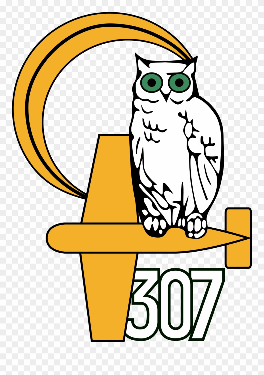 307 Polish Night Fighter Squadron - No. 307 Polish Night Fighter Squadron Clipart
