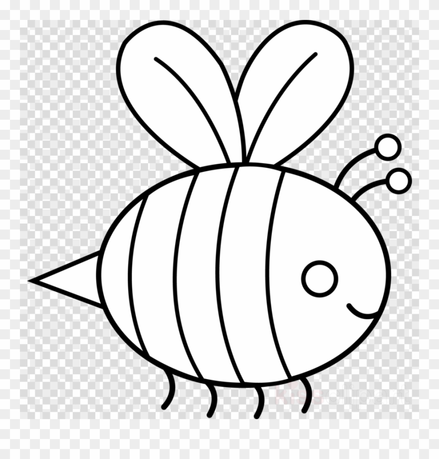 Bumble Bee Outline Clipart Bee Drawing Clip Art - Bee Clipart Black And White Png Transparent Png