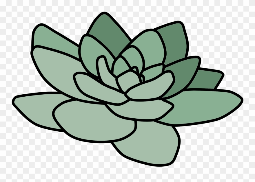 Cactus Suculent Tumblr Plant Green Niebieskoka Drawing - Picsart Photo Studio Clipart