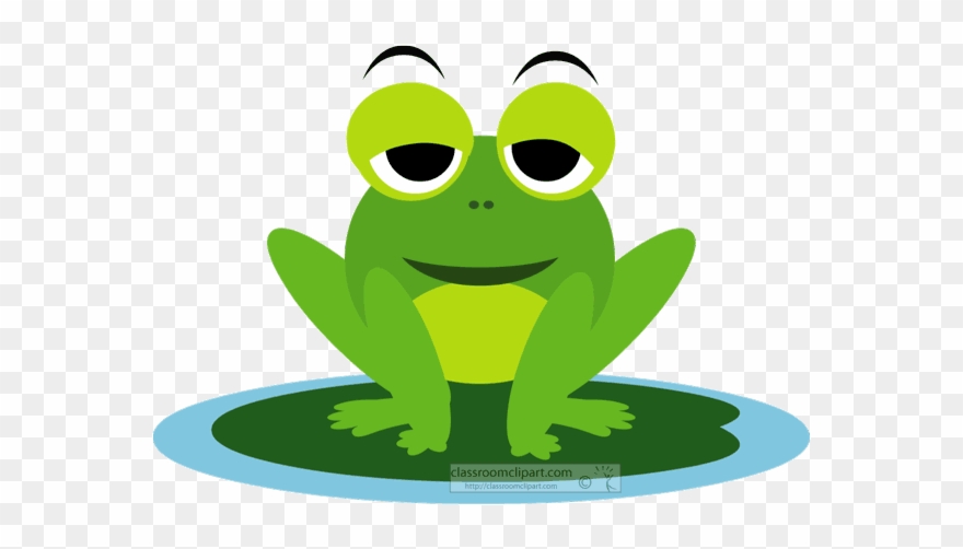 Animals Animated Animation Of Moving Big Eyes - Animated Frog Clipart