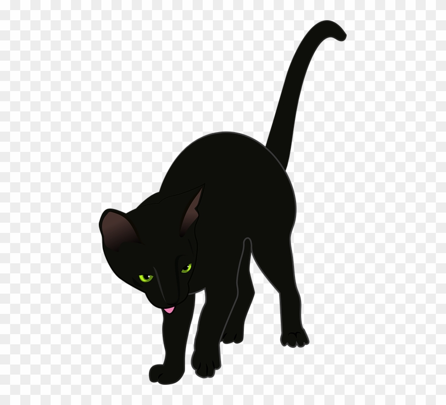 Halloween Black Cat Pictures 28, Buy Clip Art - Katze Schwarz Clipart Kostenlos - Png Download