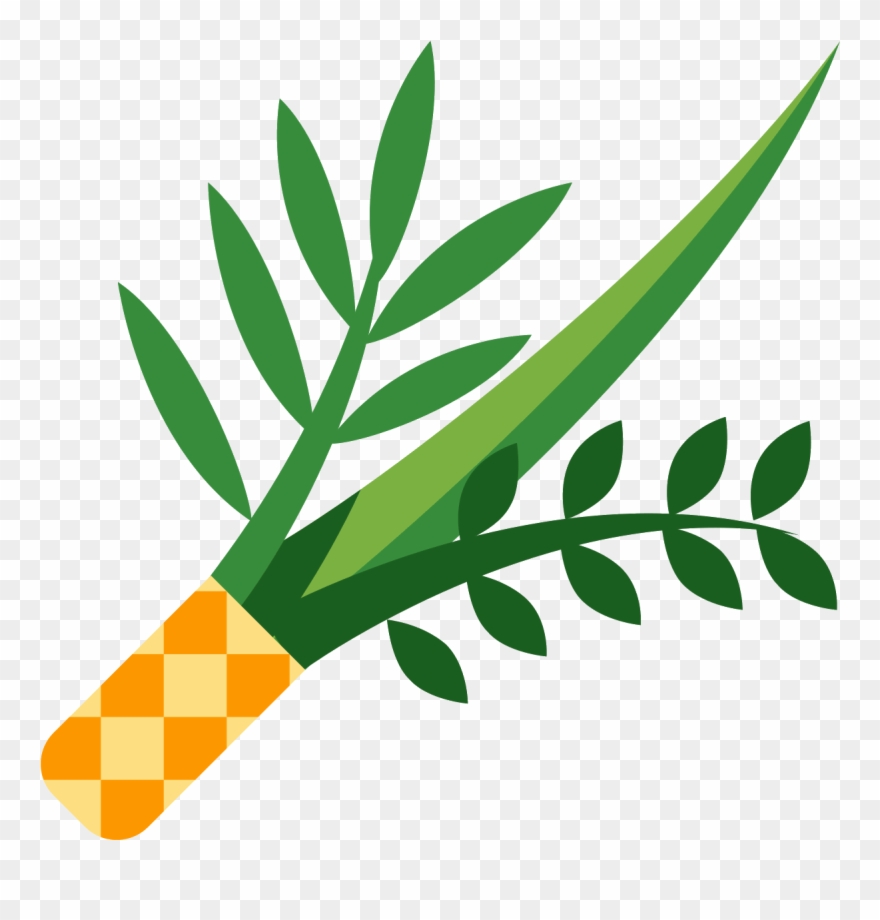 The Icon Is A Picture Of A Plant, Or Lulav - Lulav Png Clipart