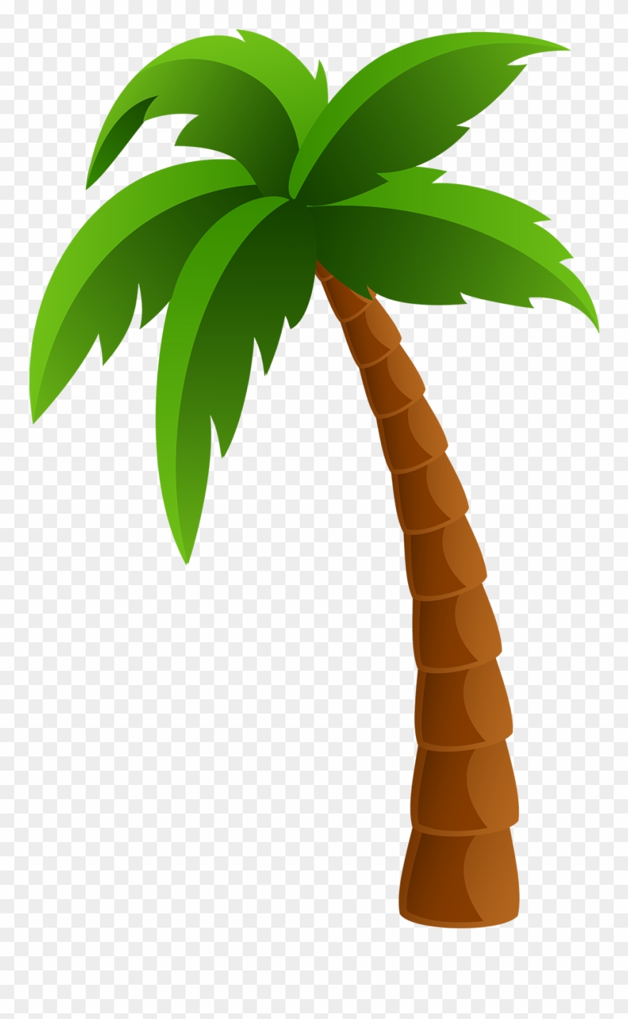 Palm Tree Icon Png Clipart