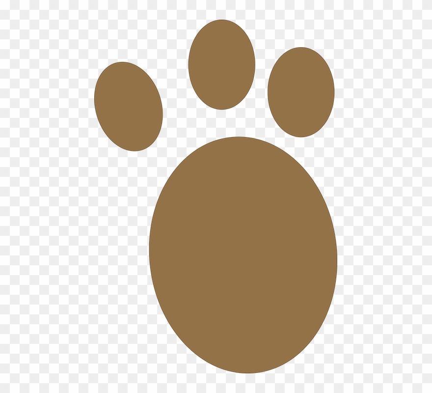 Dog Paw Shop Of Library Buy Clip - Kutya Mancs Png Transparent Png