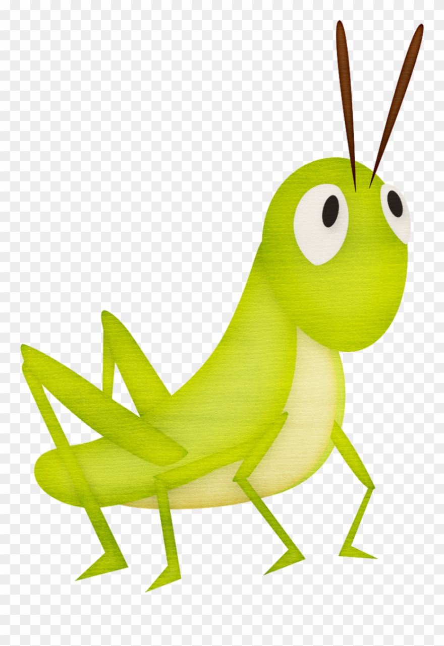 Grasshoppers Clipart Png Transparent Png