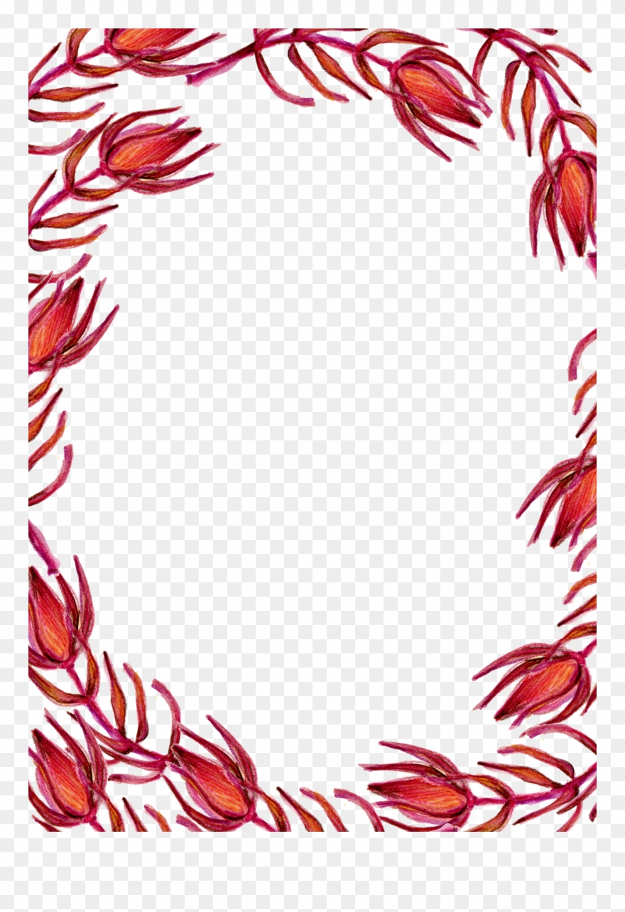 Red Flower Clip Art - Border Design Red Flower - Png Download