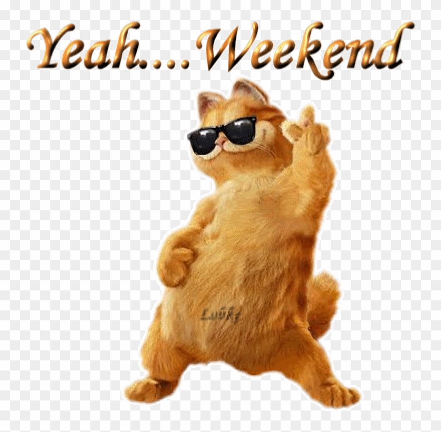 Catarina Dk Bad Cat Graphics Cat Happy Birthday Graphics - Week End Clipart