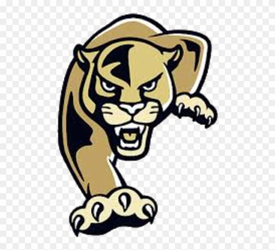 Class 8a-district 5 Clipart Free Download - Plant High School Logo - Png Download