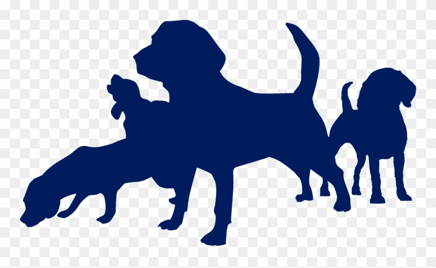 Mood Board - Beagle Clipart