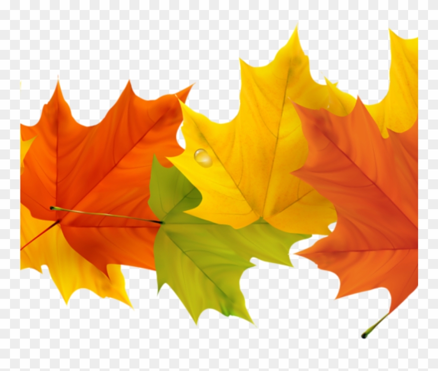 Free Fall Leaf Clip Art 19 Free Graphic Free Fall Leaves - Fall Leaves Border Transparent - Png Download