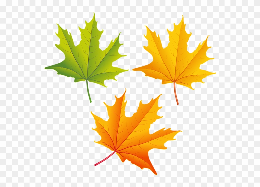 Clipart Images, Autumn Leaves, Photoshop, Clip Art, - Autumn Leaves Clipart Png Transparent Png