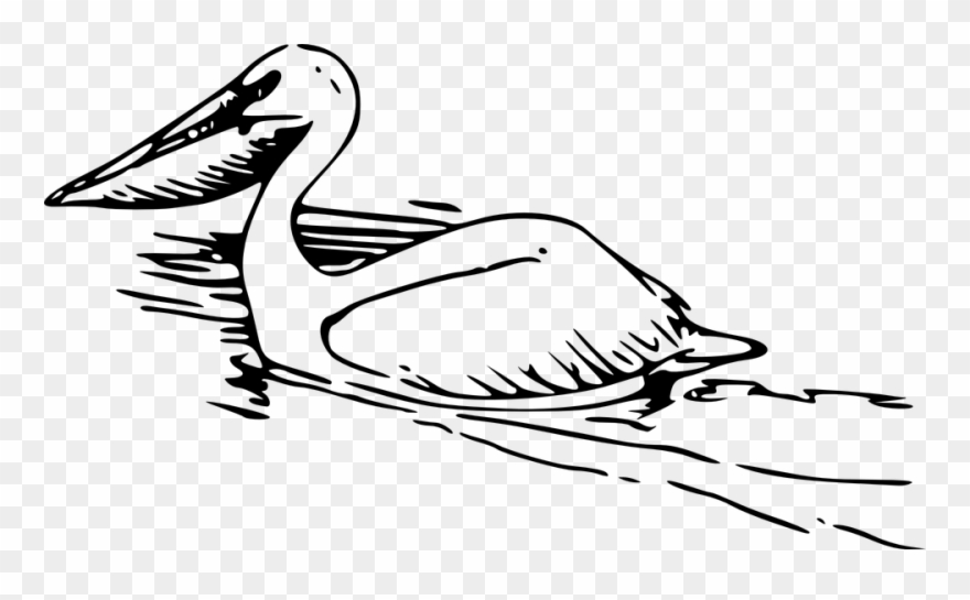 Owl Outline 19, Buy Clip Art - Pelican Clipart Black And White - Png Download