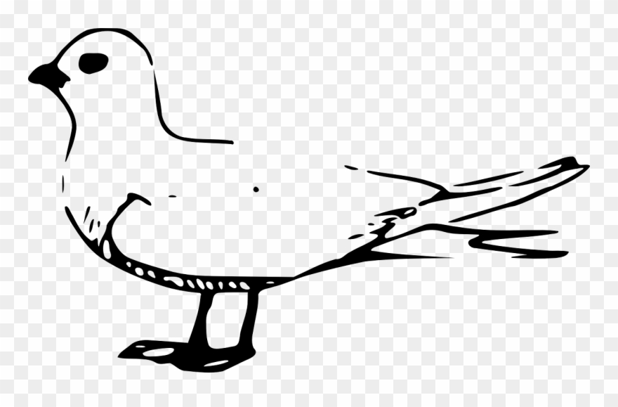 Owl Outline Cliparts 17, Buy Clip Art - White Tern Clip Art - Png Download