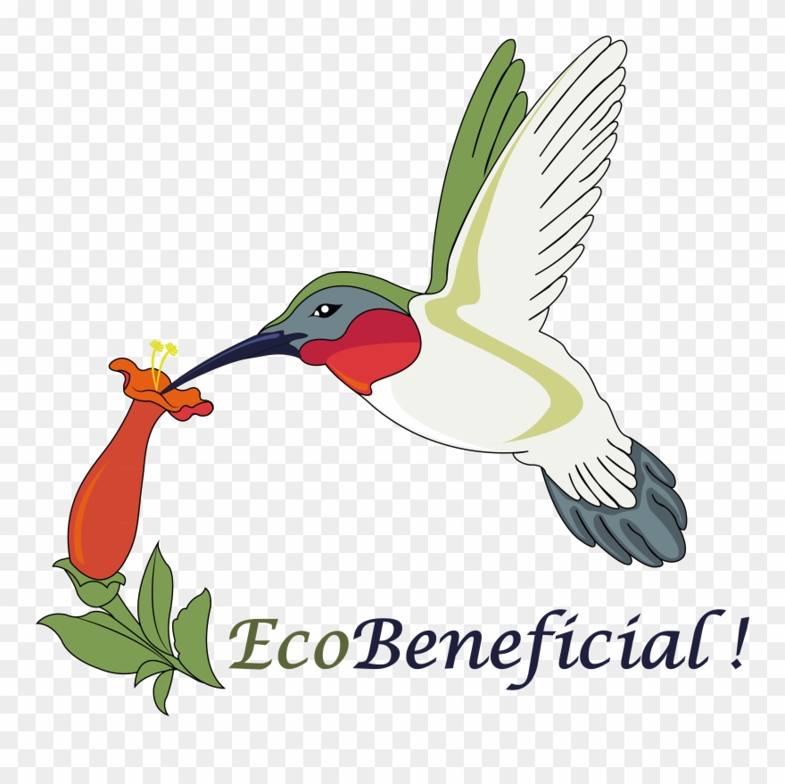 Ecobeneficial Logo - Garden Design Clipart