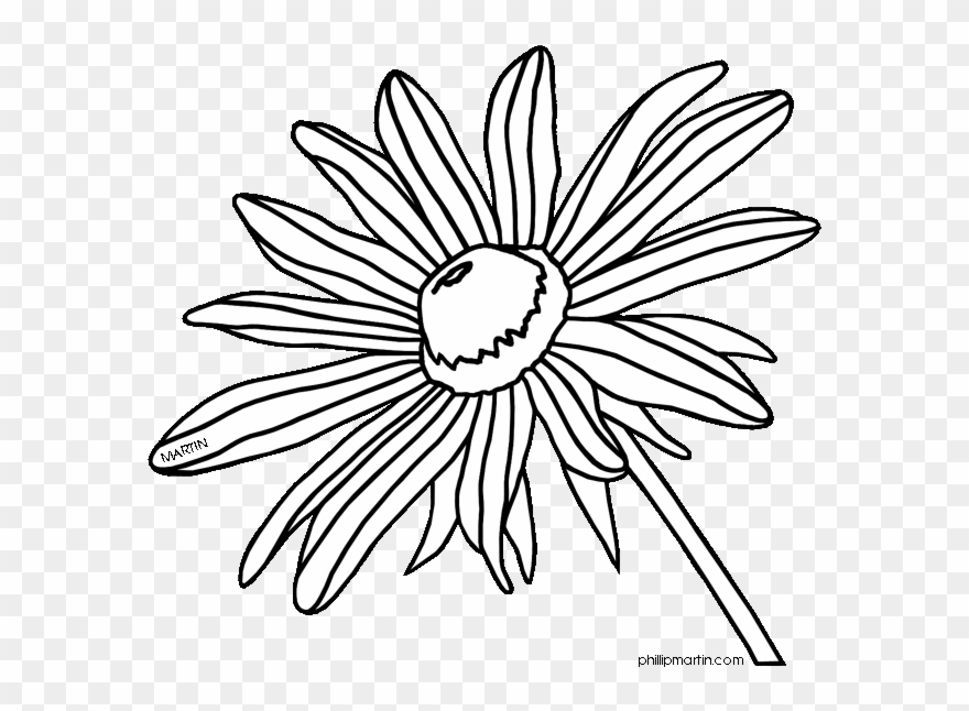 Maryland 20clipart - Black Eyed Susan Black And White Clipart - Png Download