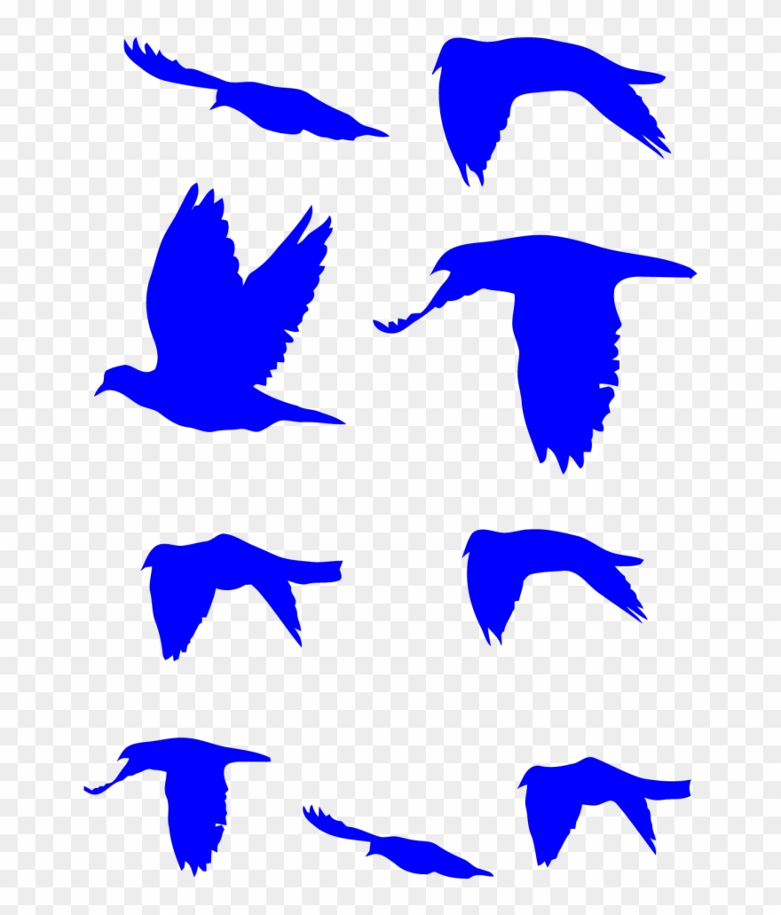 Flying Doves Decal Pack - 10in X 3in I'd Rather Be Bird Spotting Magnet Magnetic Clipart