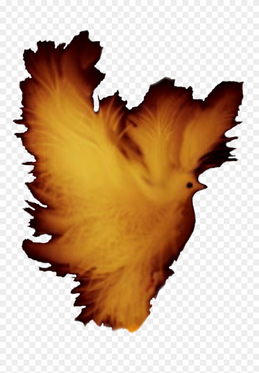 Dove Fantasy Golden Flight Clipart