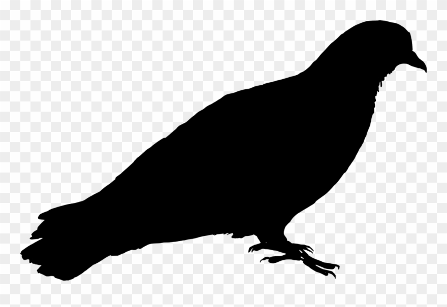 Silhouette Pigeon Clipart