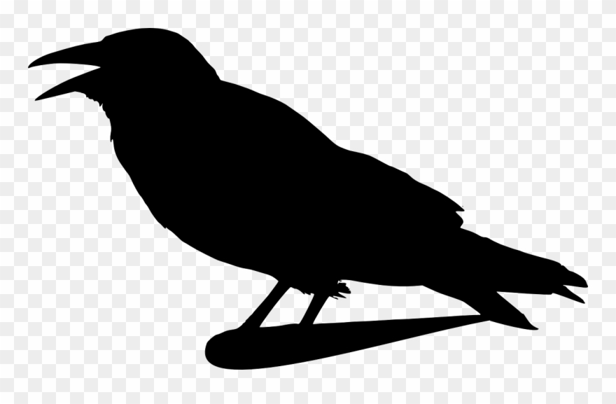 Crow Raven Silhouette Isolated Png Image - Black Crow Silhouette Shower Curtain Clipart