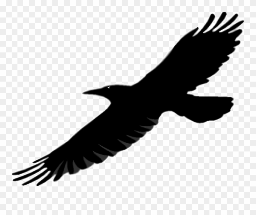 Raven Clipart Silhouette - Clip Art - Png Download