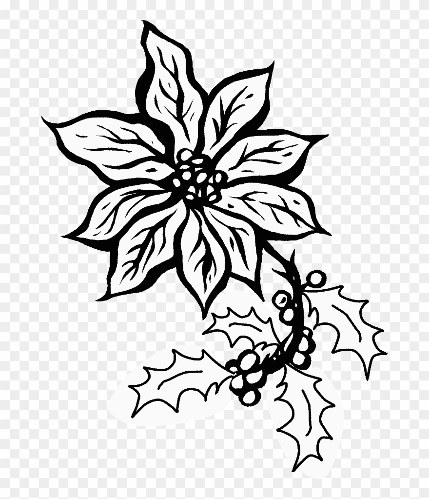Poinsettia5 Holidays Coloring Pages - Poinsettia Coloring Pages Clipart