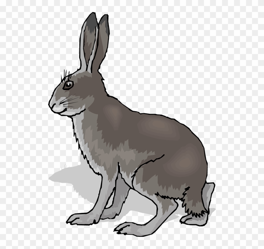 Free Rabbit Clipart - Coney Animal - Png Download