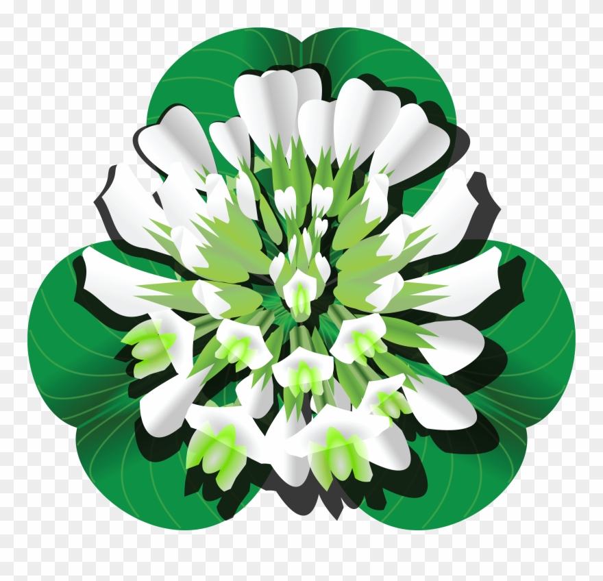 Free Clipart Of A Clover Blossom And Leaves - White Clover Flower Png Transparent Png